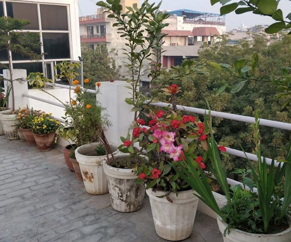 Sai Niwas PG terrace view